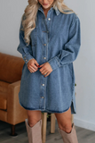 Casual Street Distressed Pocket Buttons Turndown Collar Long Sleeve Loose Denim Dresses(No Belt)