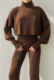 Casual Solid Solid Color Turtleneck Long Sleeve Two Pieces