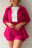 Casual Simplicity Solid Fold Turndown Collar Long Sleeve Two Pieces(6 Colors)