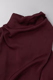 Celebrities Simplicity Solid Zipper Half A Turtleneck A Line Dresses(6 Colors)