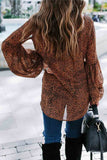 Leopard Print Long Sleeve Top